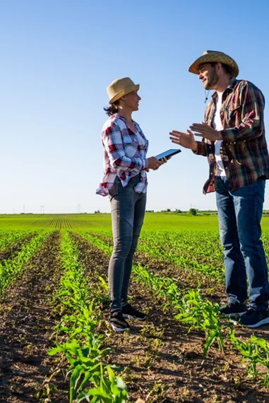 Assistência técnica extensão rural - PRÓ-RURAL